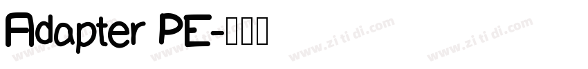 Adapter PE字体转换